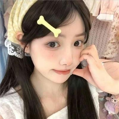 动物出击